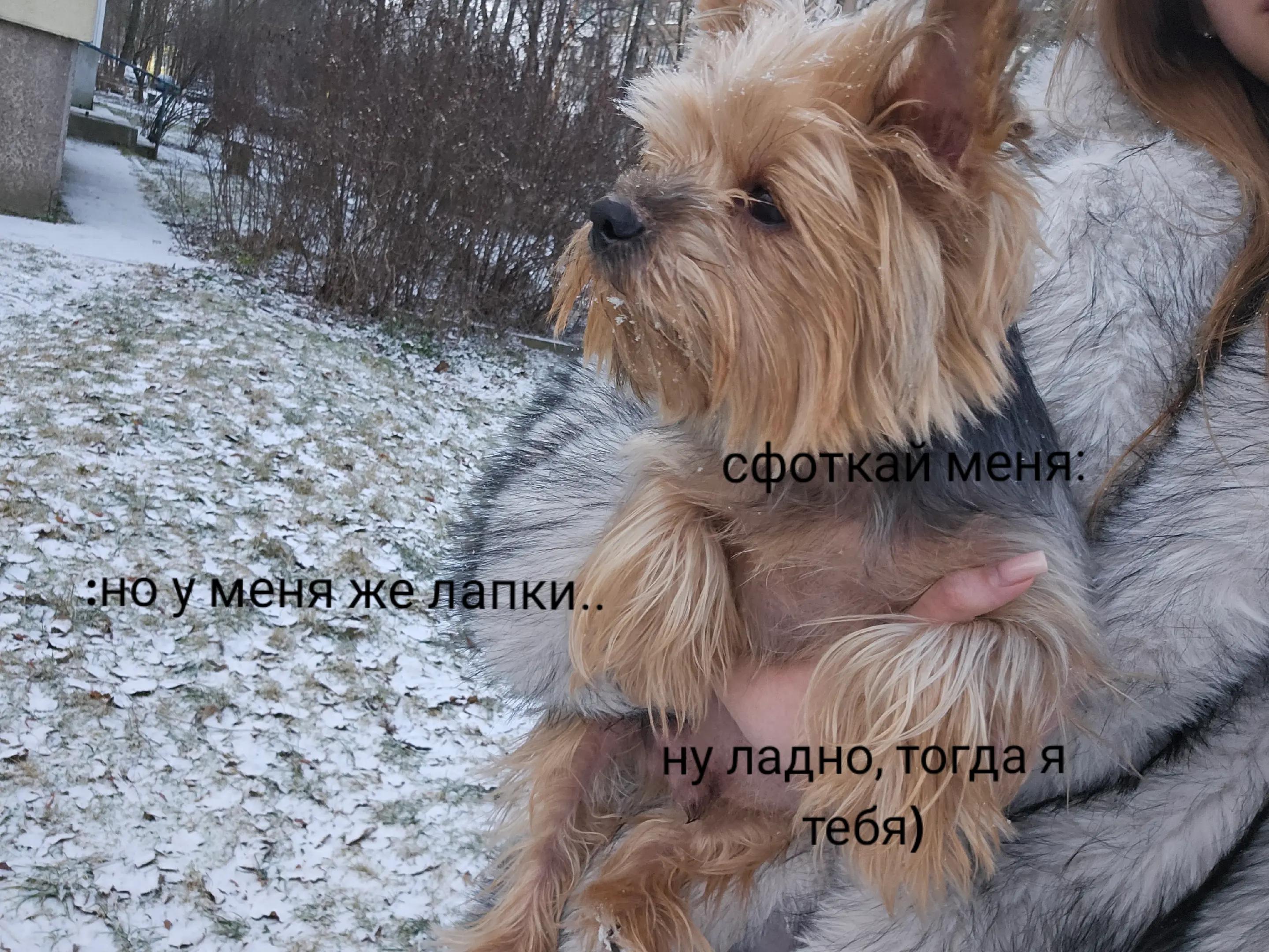 @Тбилиси