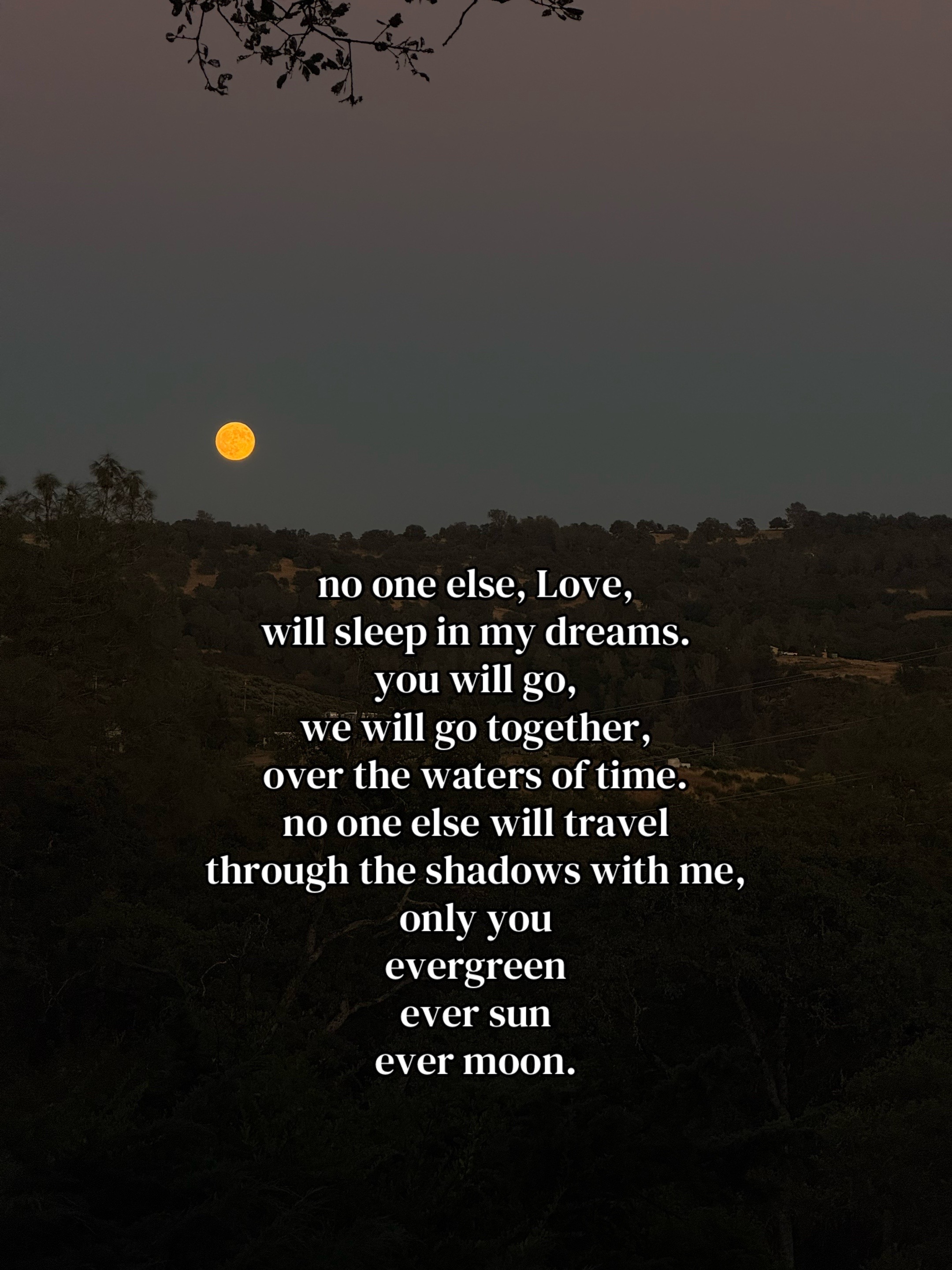 @๐๐๐๐๐๐๐ ๐ฑ