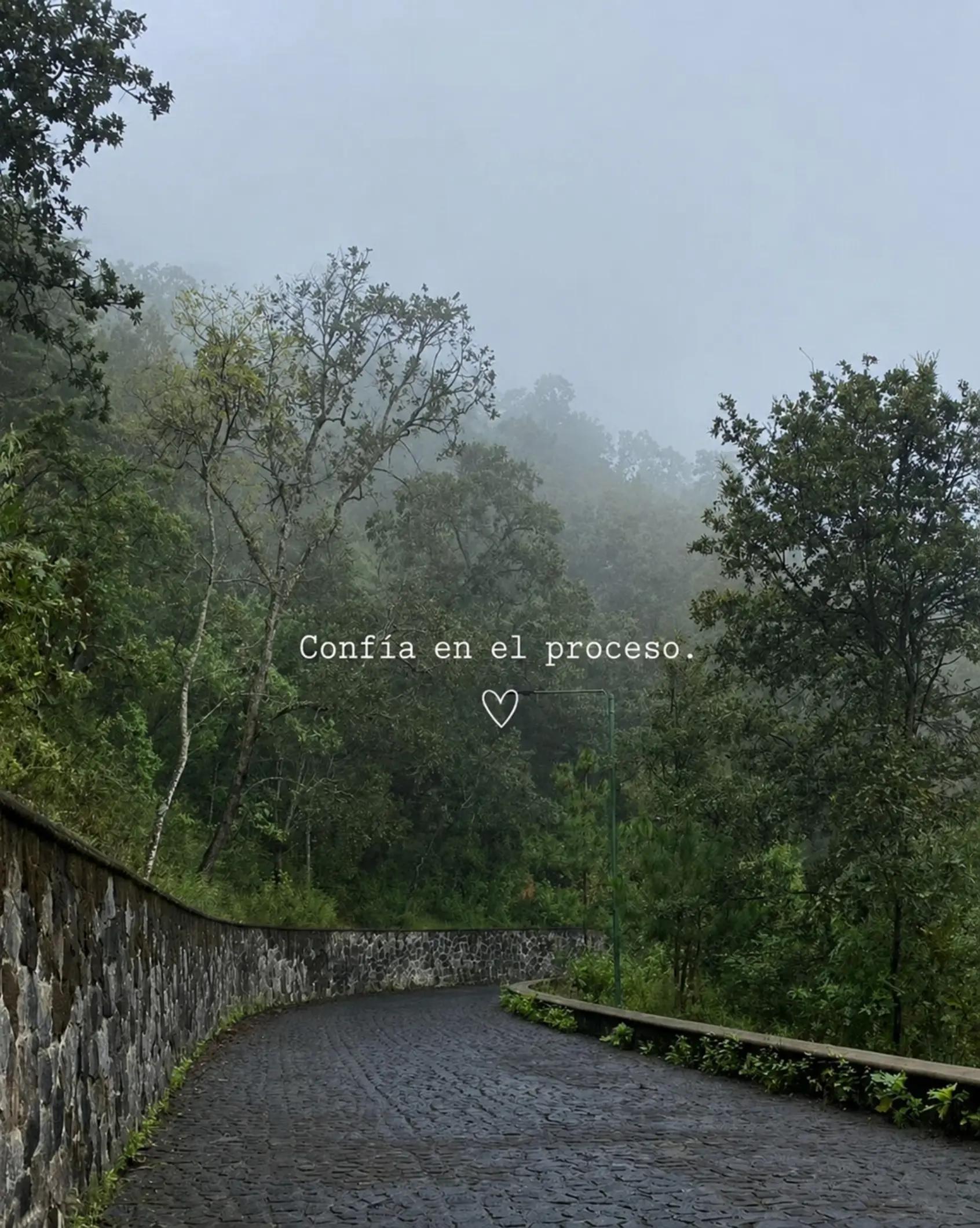 @Magy Fuerte