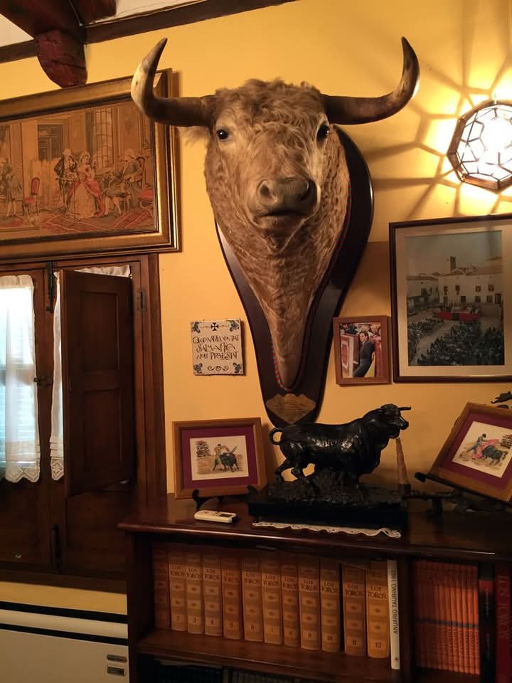 @taxidermiadecorperu