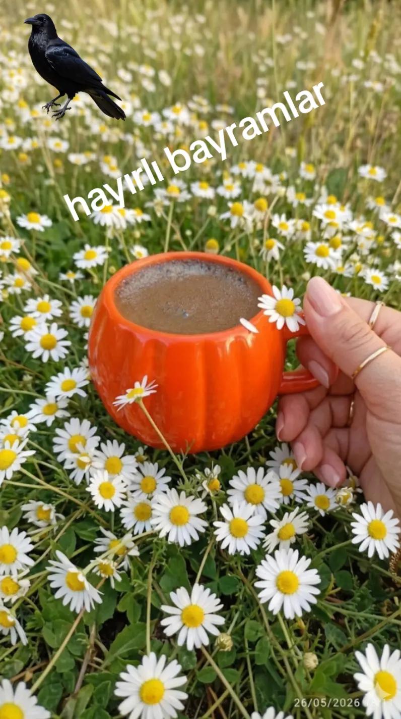 @Elif Kaymakci
