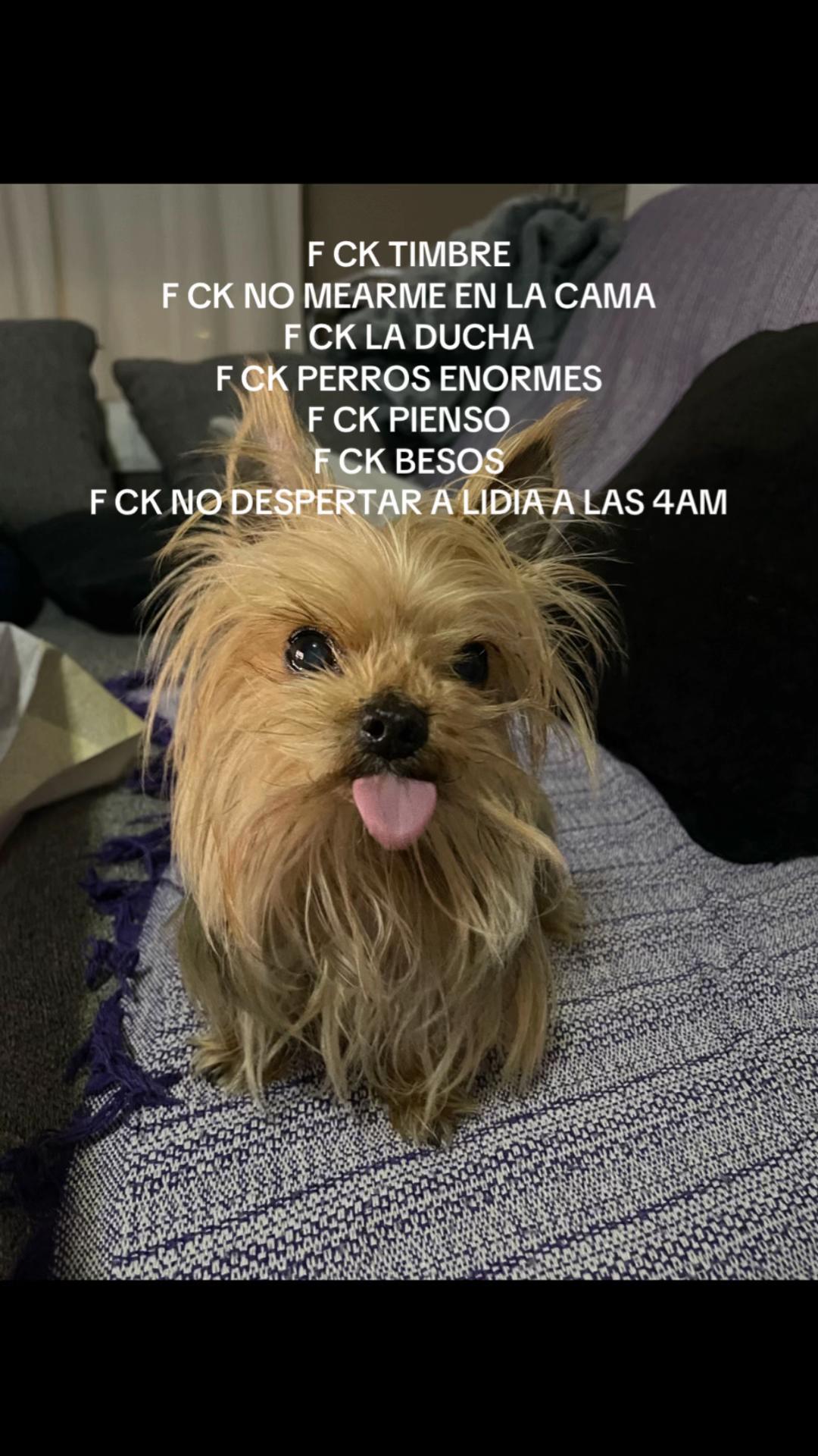 @Lidia