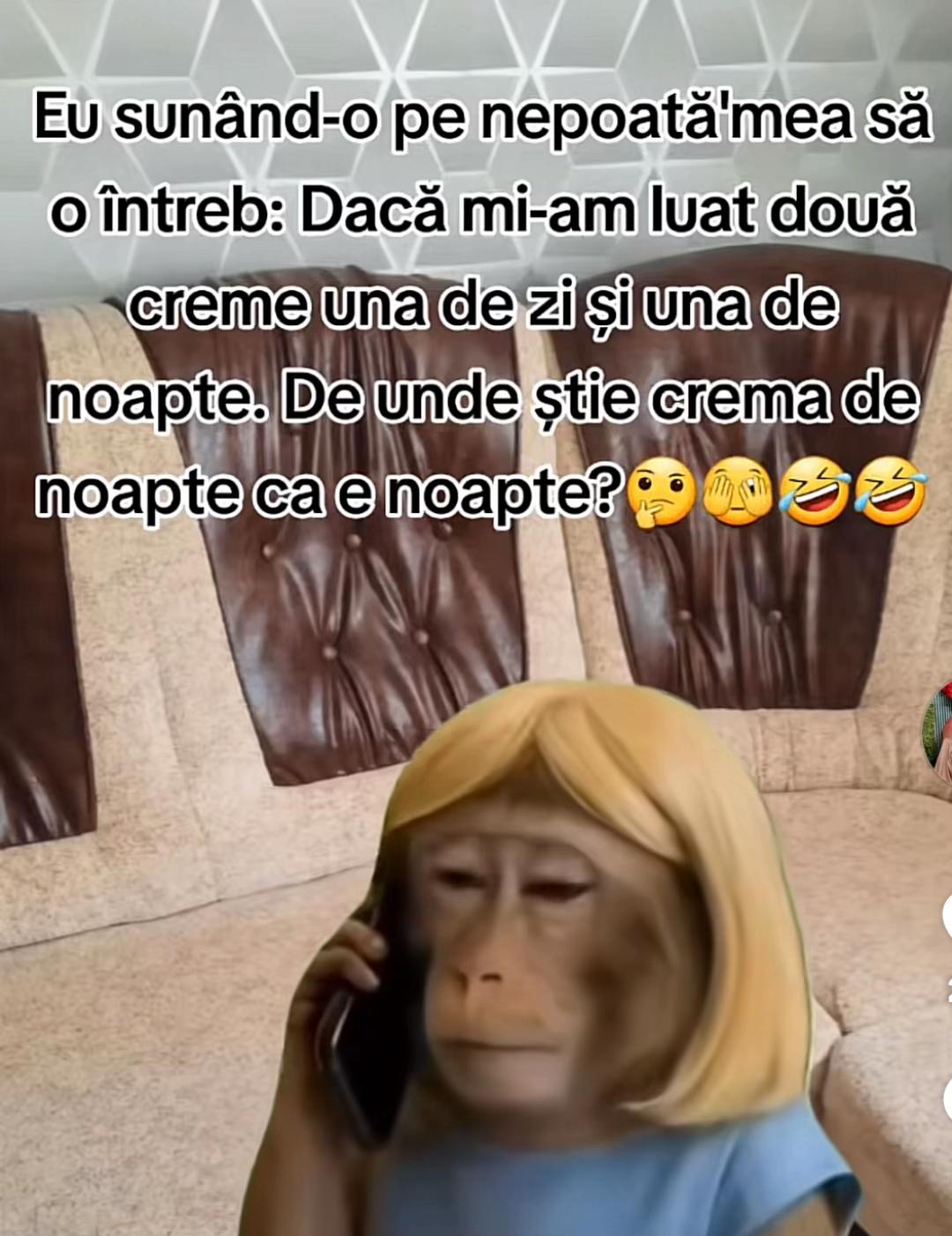 @Ileana Radu