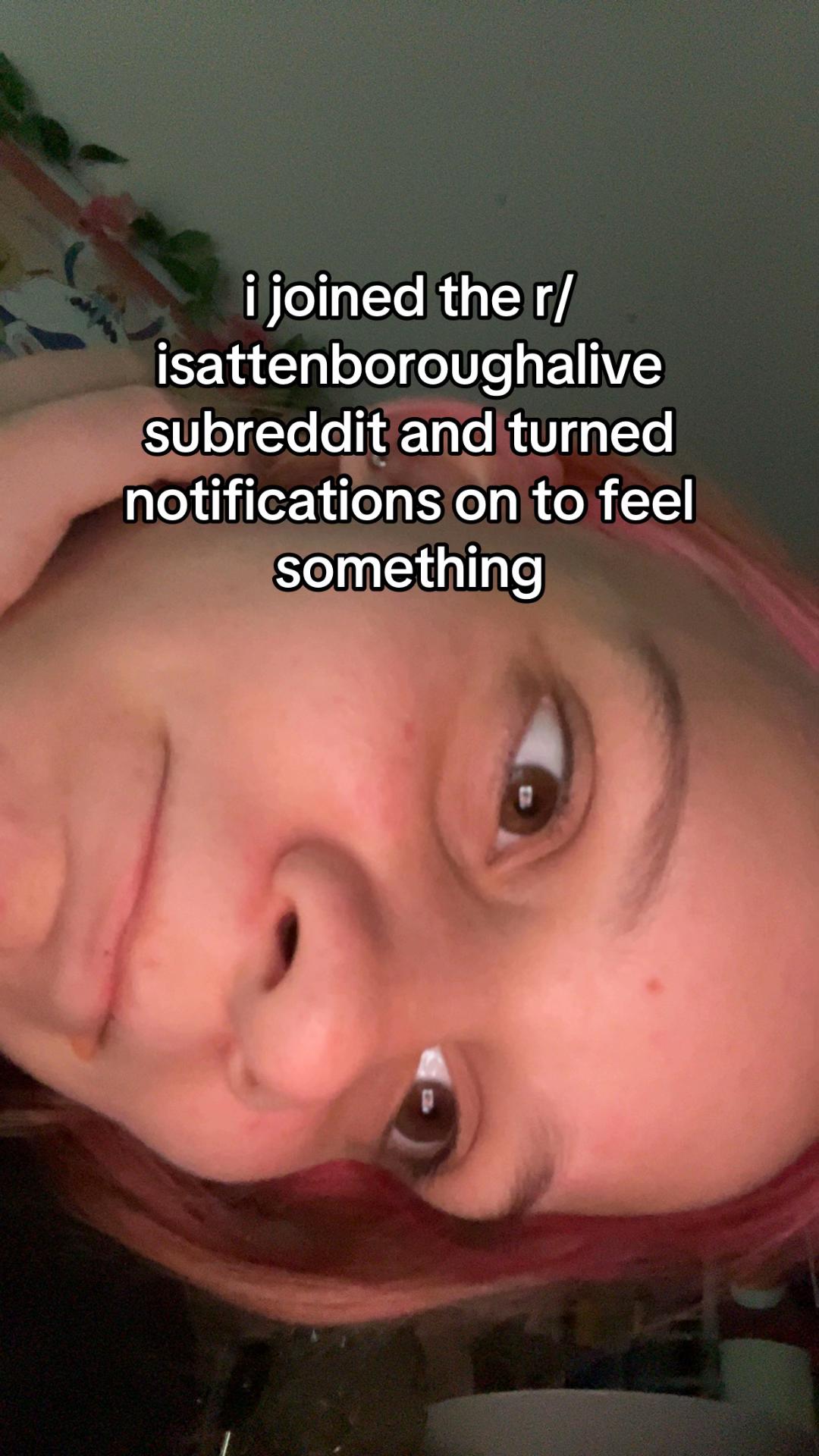 @daisy 🕸️