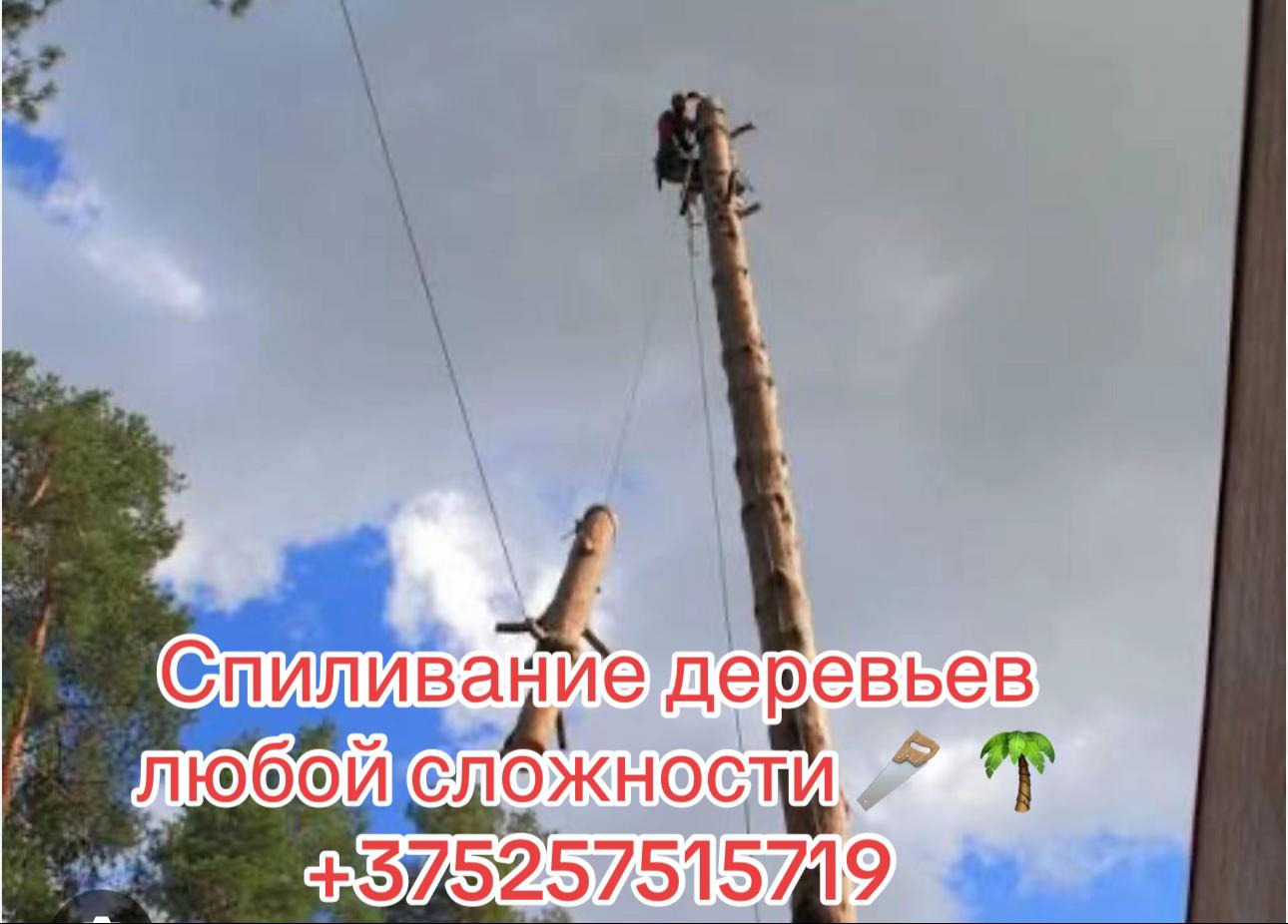 @Андрей28🫶