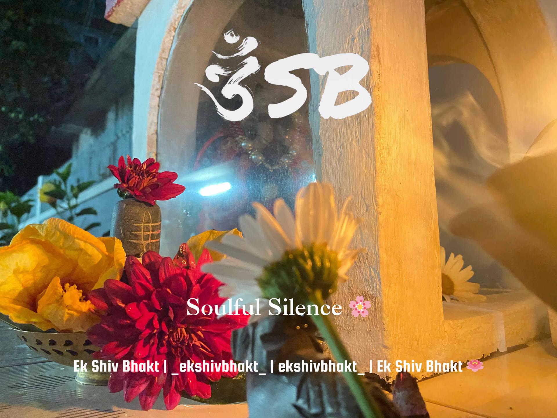 @Ek Shiv Bhakt 🪷