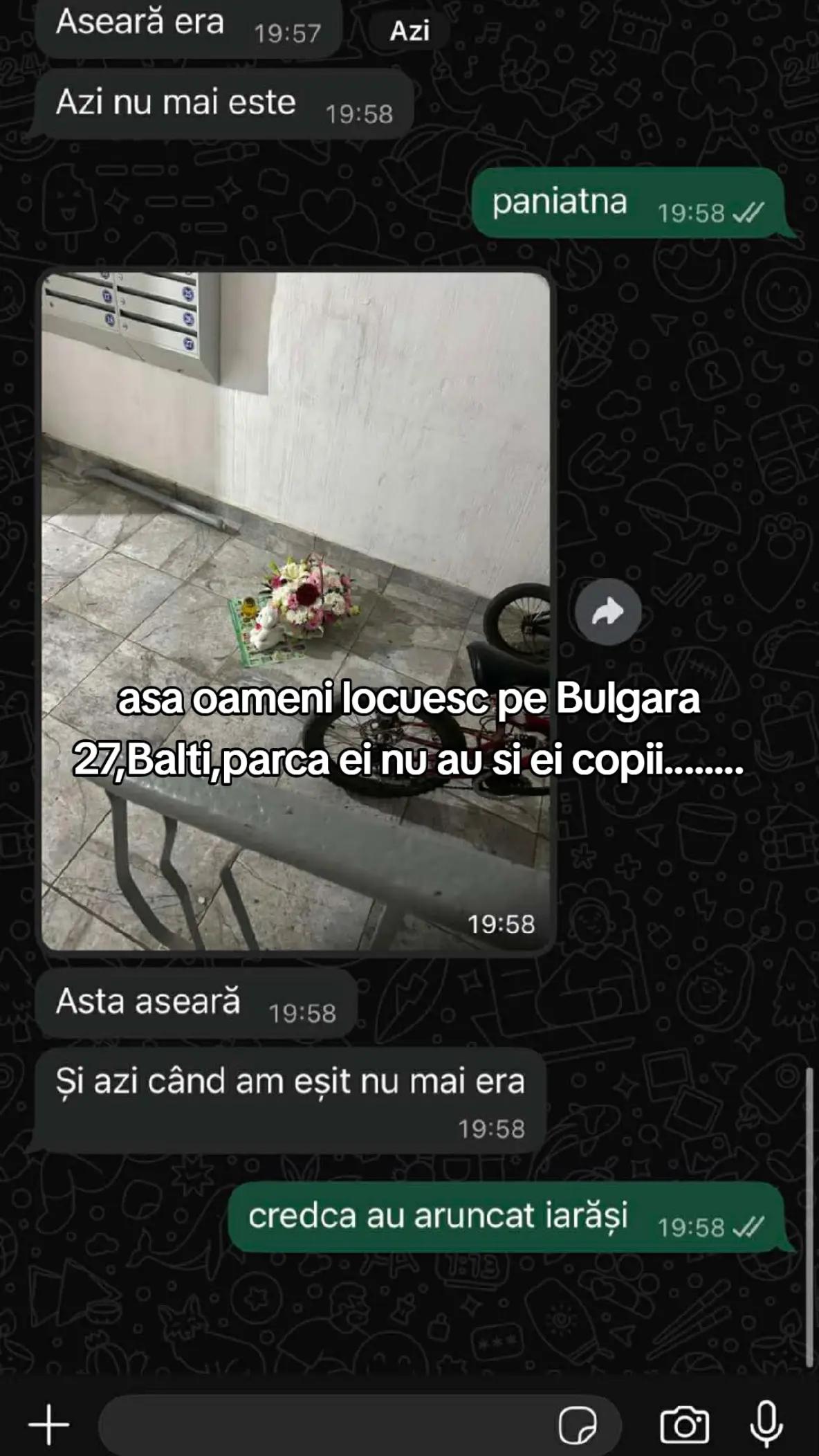 @Vera Jachin