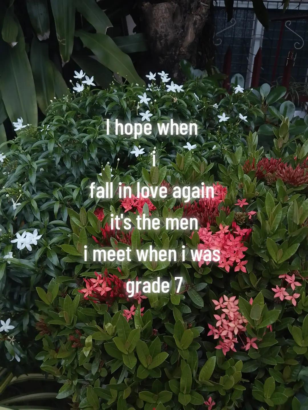 @🦋