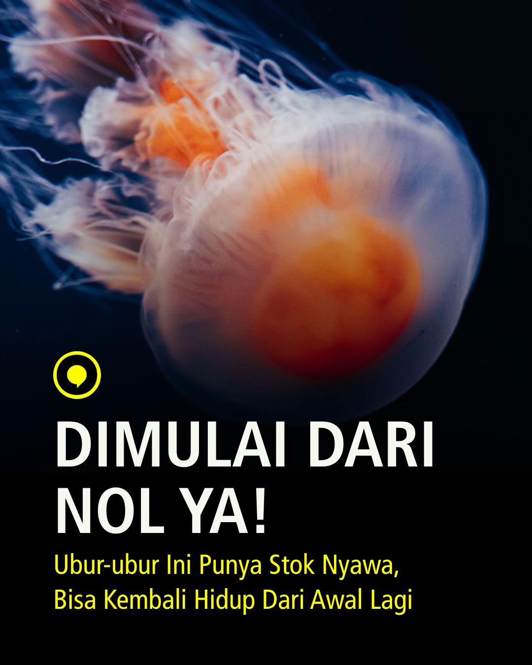 @Opini.id