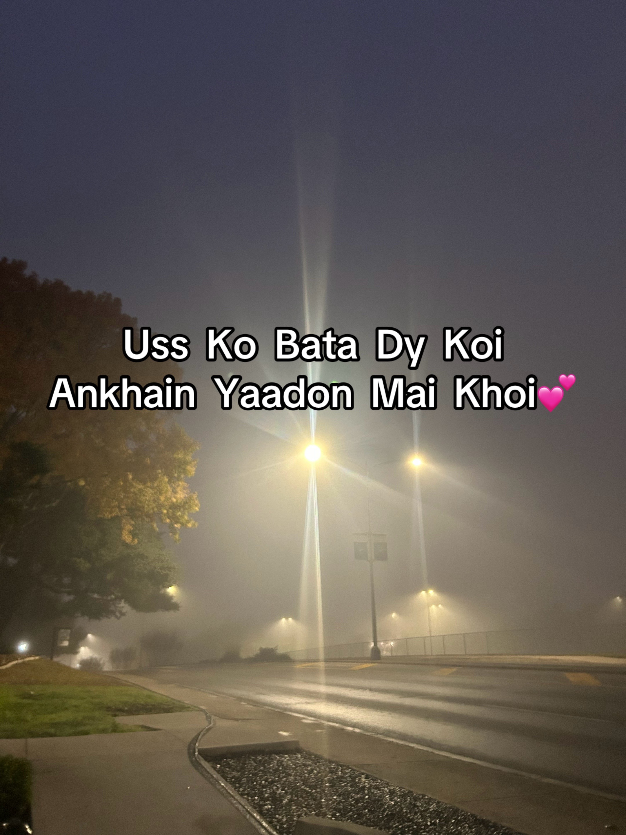 @ZaraHayat020104