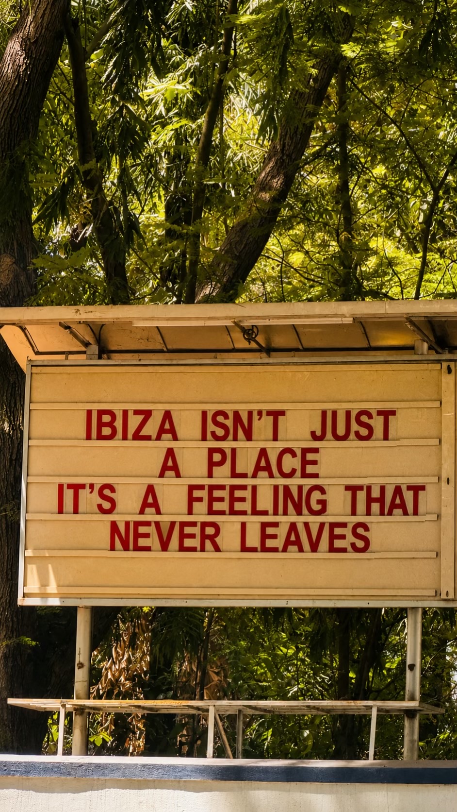 @ibizahq