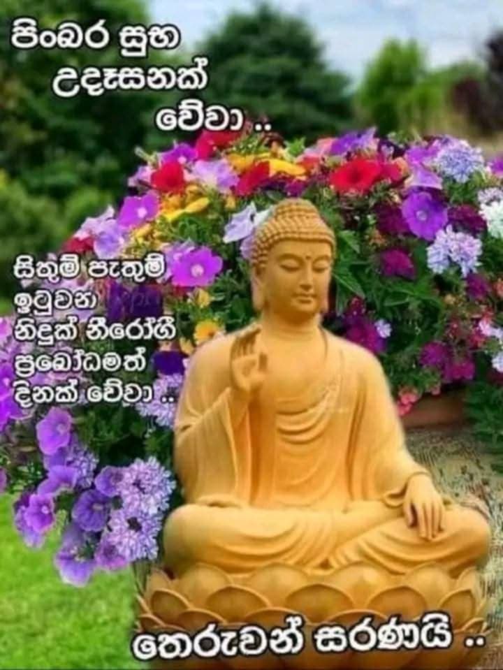 @prasanna
