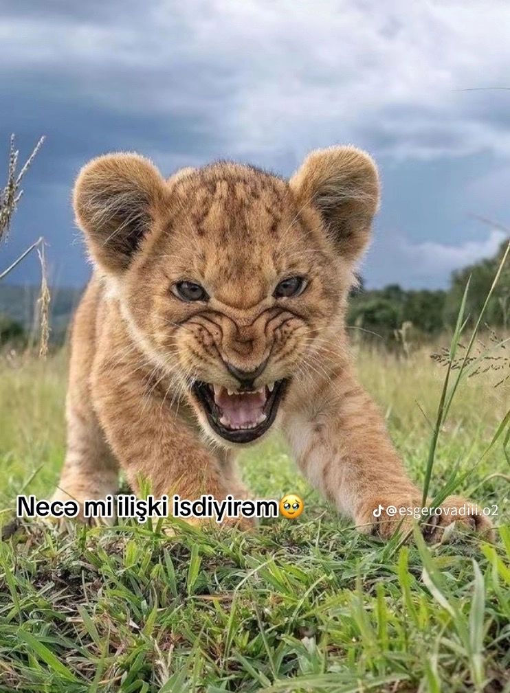 @🇦🇿
