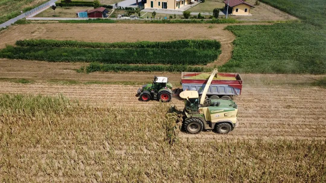 @TEO93.AGROTECH