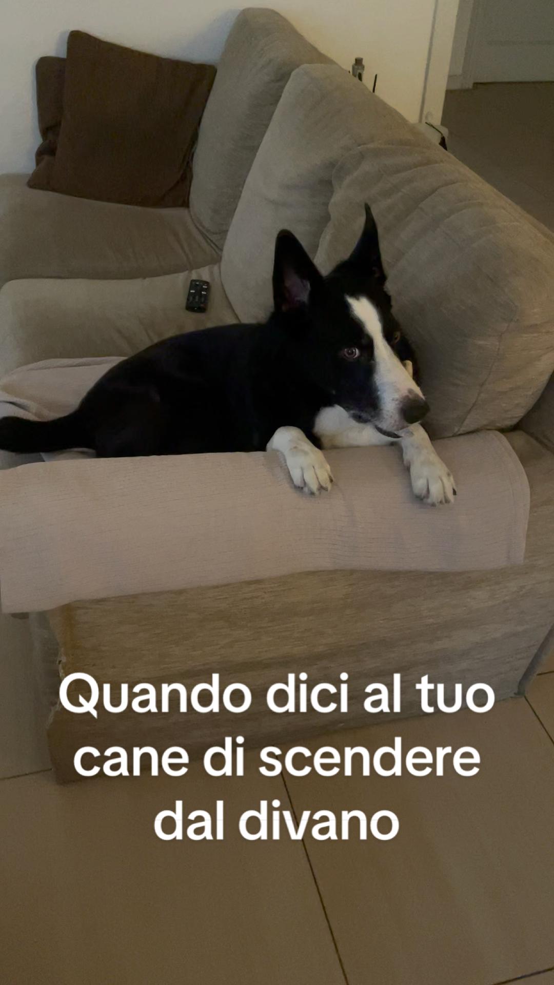 @Benni