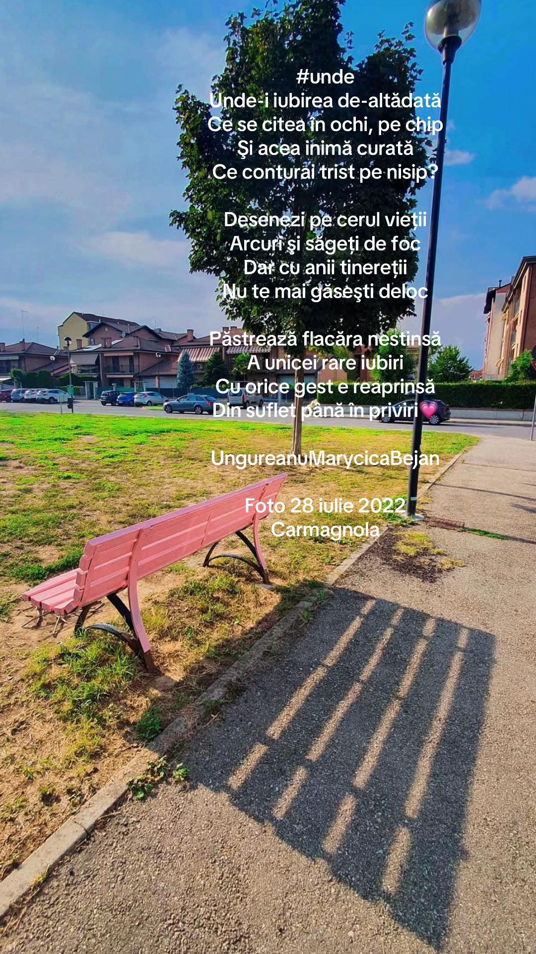@Marycica Ungureanu Bejan