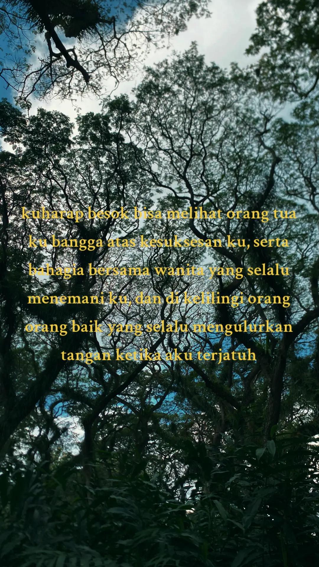 @sogol