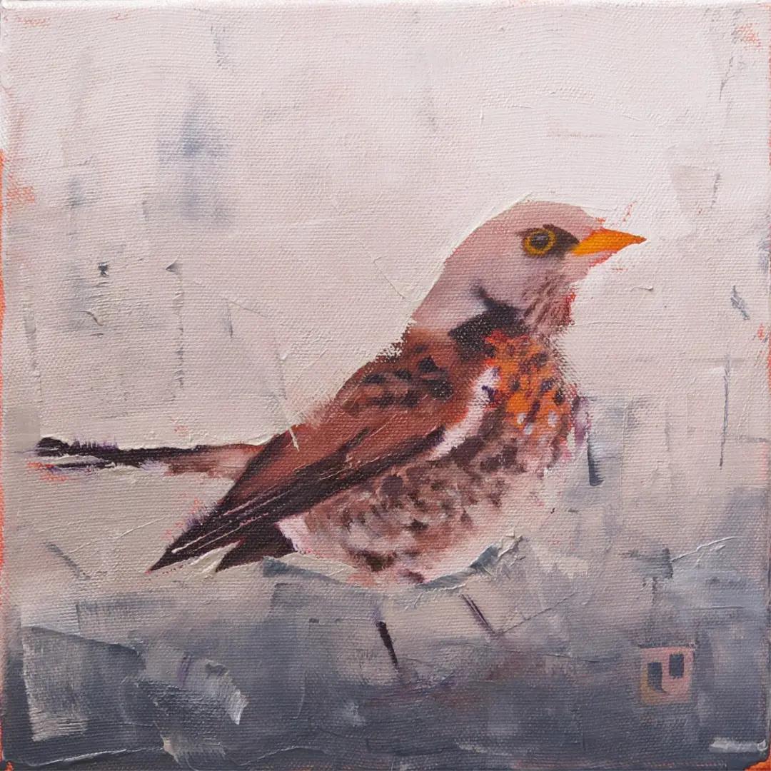 @thomas.eckelmann
