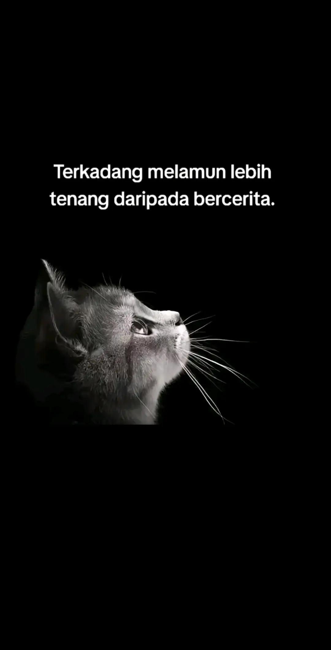 @Cece Lie_____