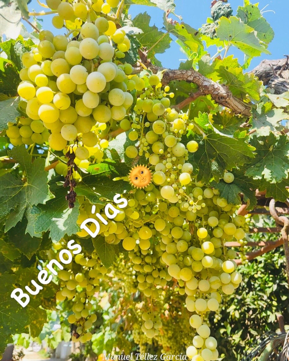 @brujiarcos