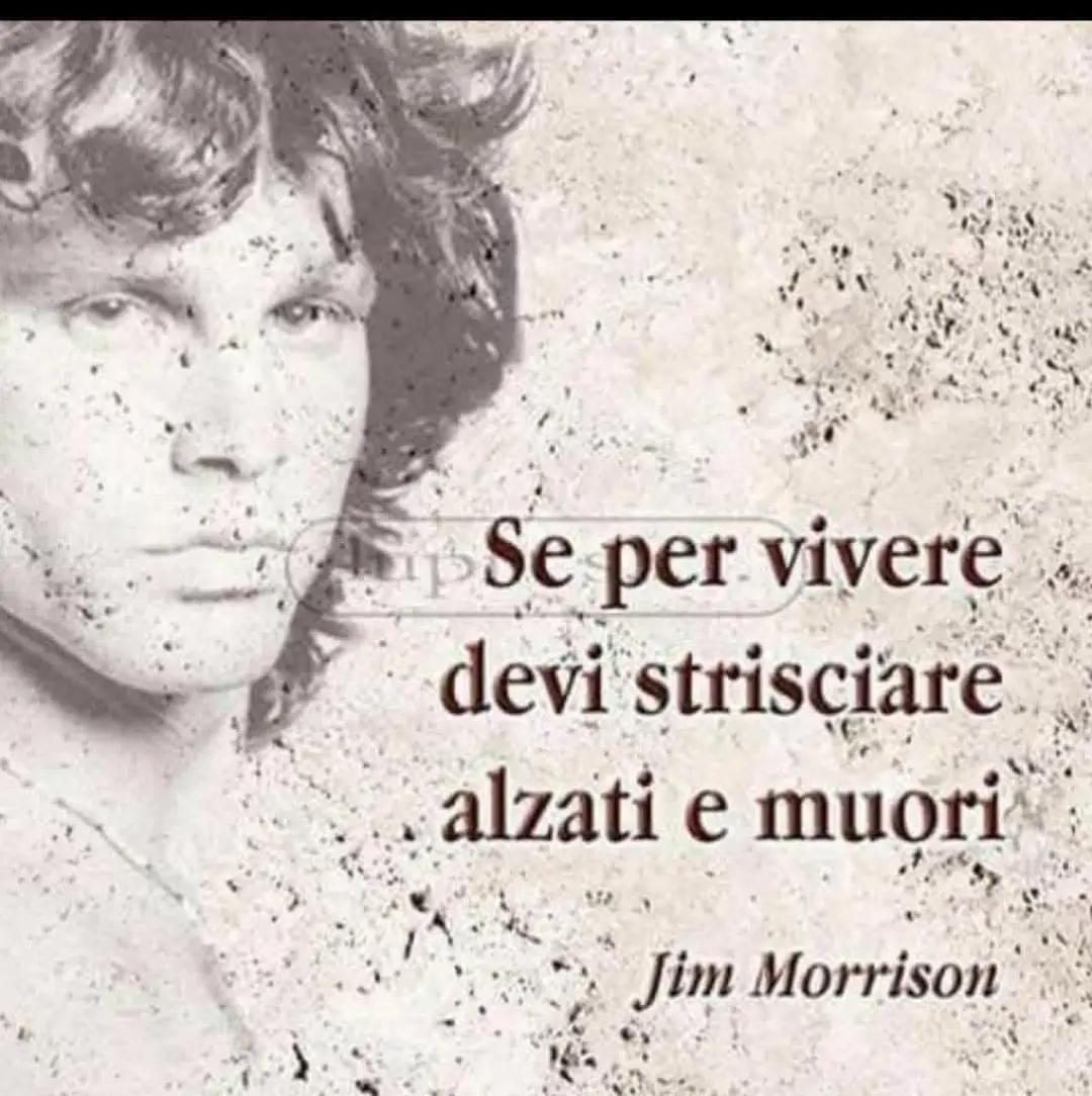 @PINO SCOTTO