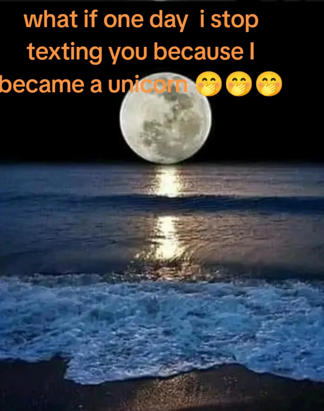 @meow