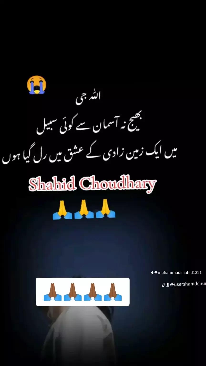 @Shahid Ch arain ❤🌹