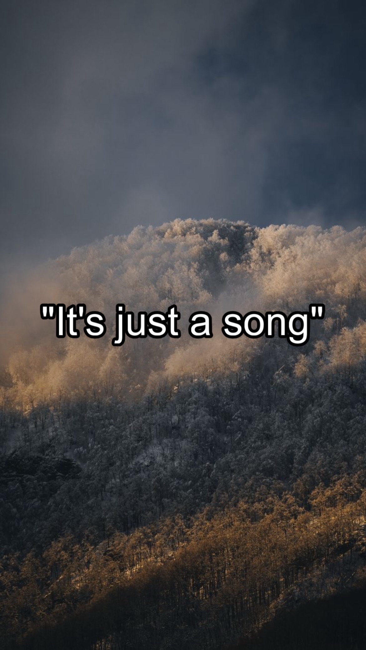 @CountryMusicEnjoyer🤠