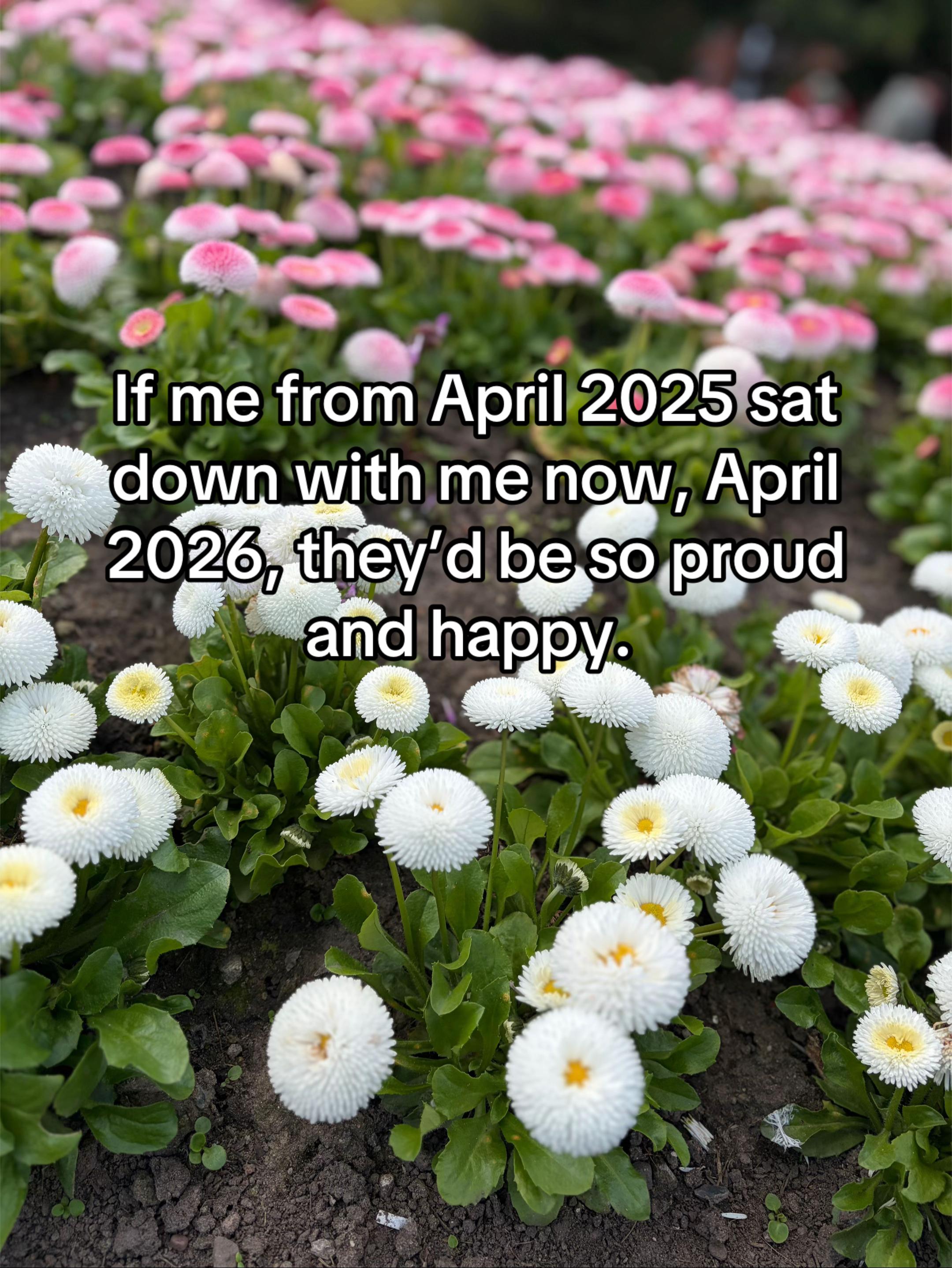 @chronicallyrenj