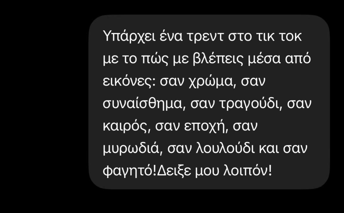 @Elena Porcupine