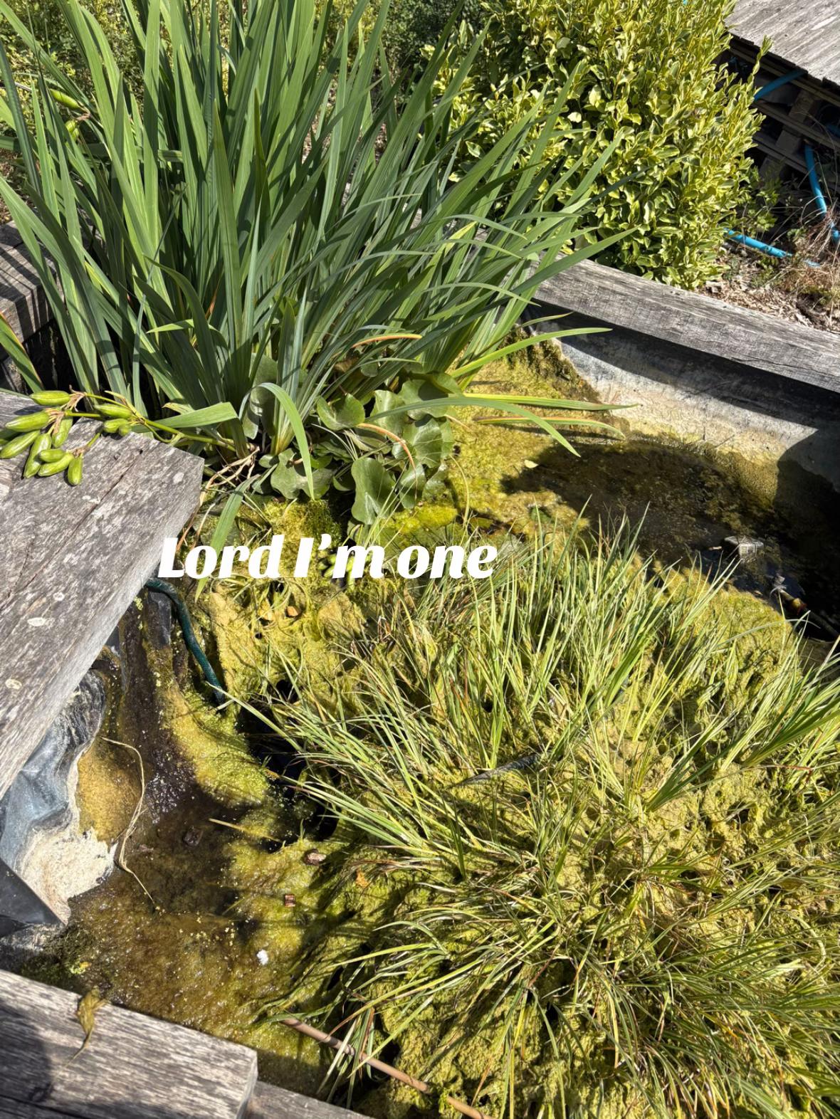 @𝓜𝓸𝓵𝓵𝓲𝓮🪽