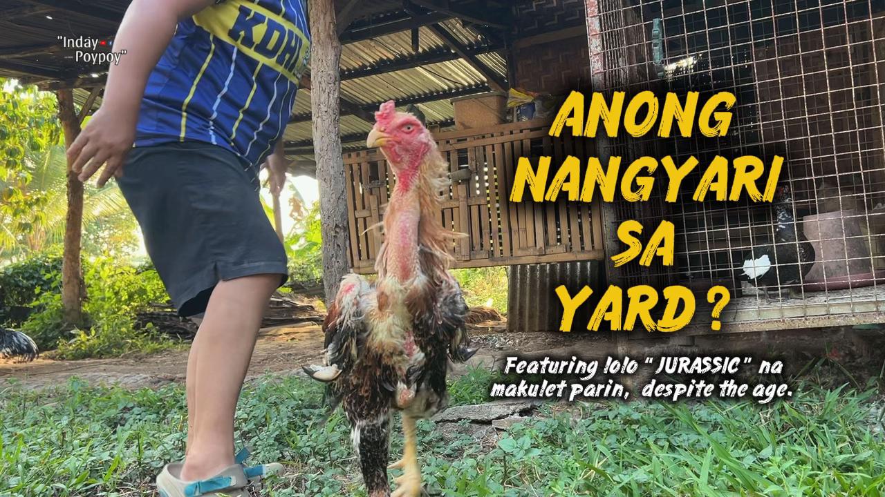 @indaypoypoy