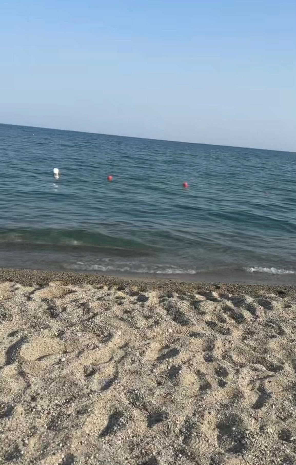 @annunziata mancinelli