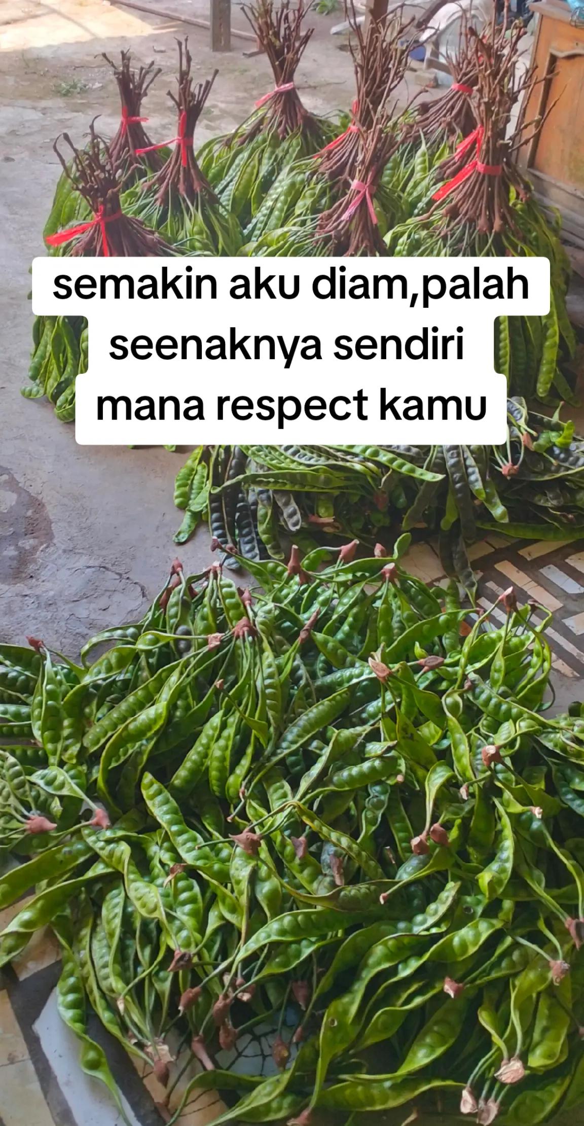 @ARAk_BALI
