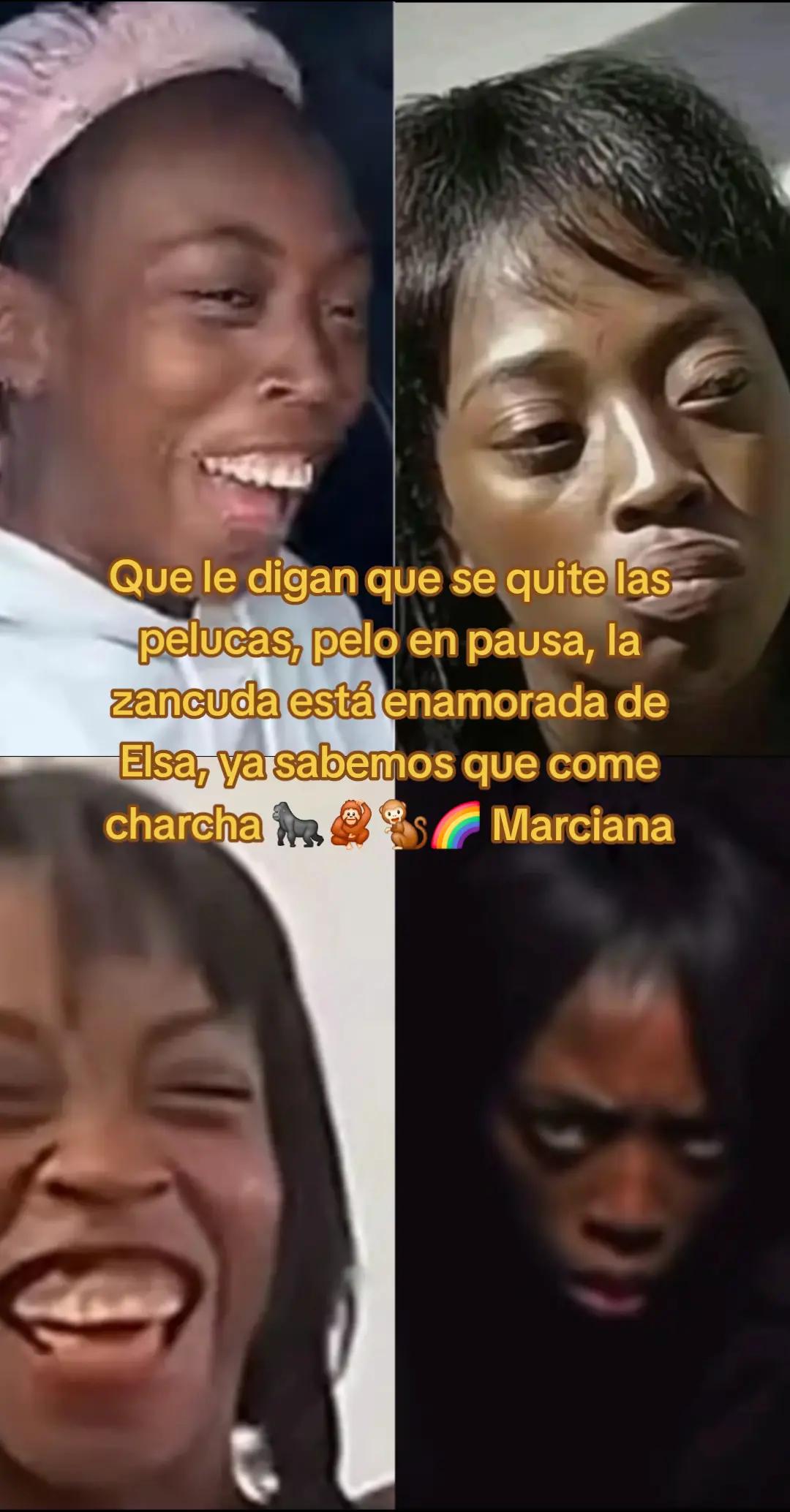 @♣️♟️🎭PupuFlow 🦭🤣🤣🍼