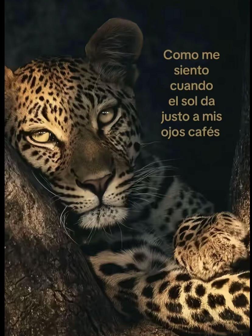 @Daiii💋