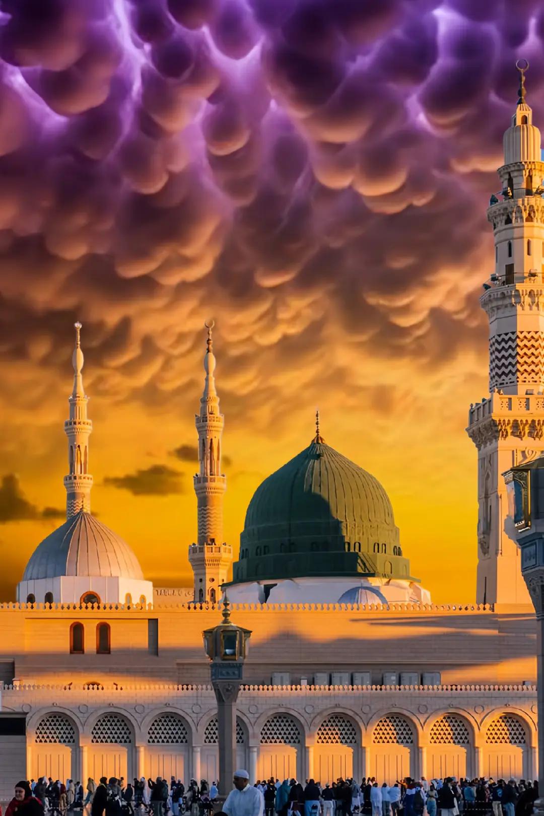@Tariq Ali546546