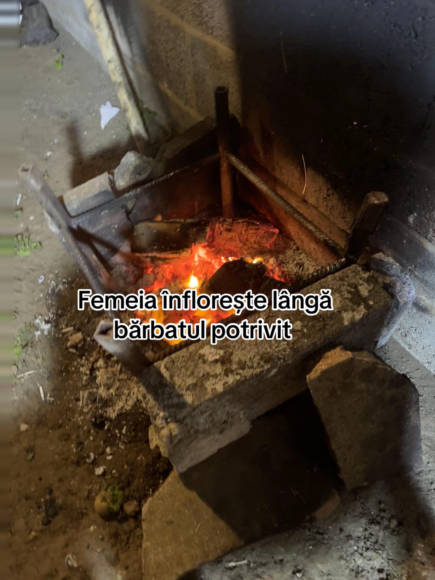 @⚜️Arăboaica⚜️