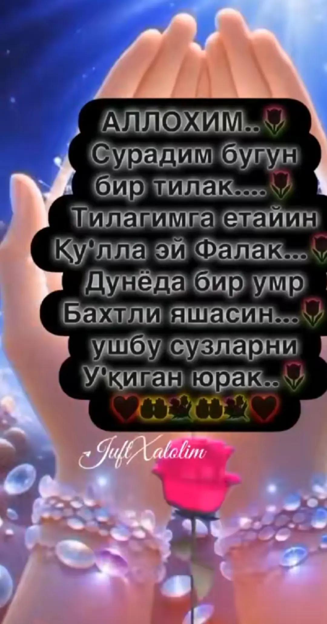 @⫷☄️🕊𝔾✨𝕌✨𝕃✨𝕀✨𝕄🕊☄️⫸