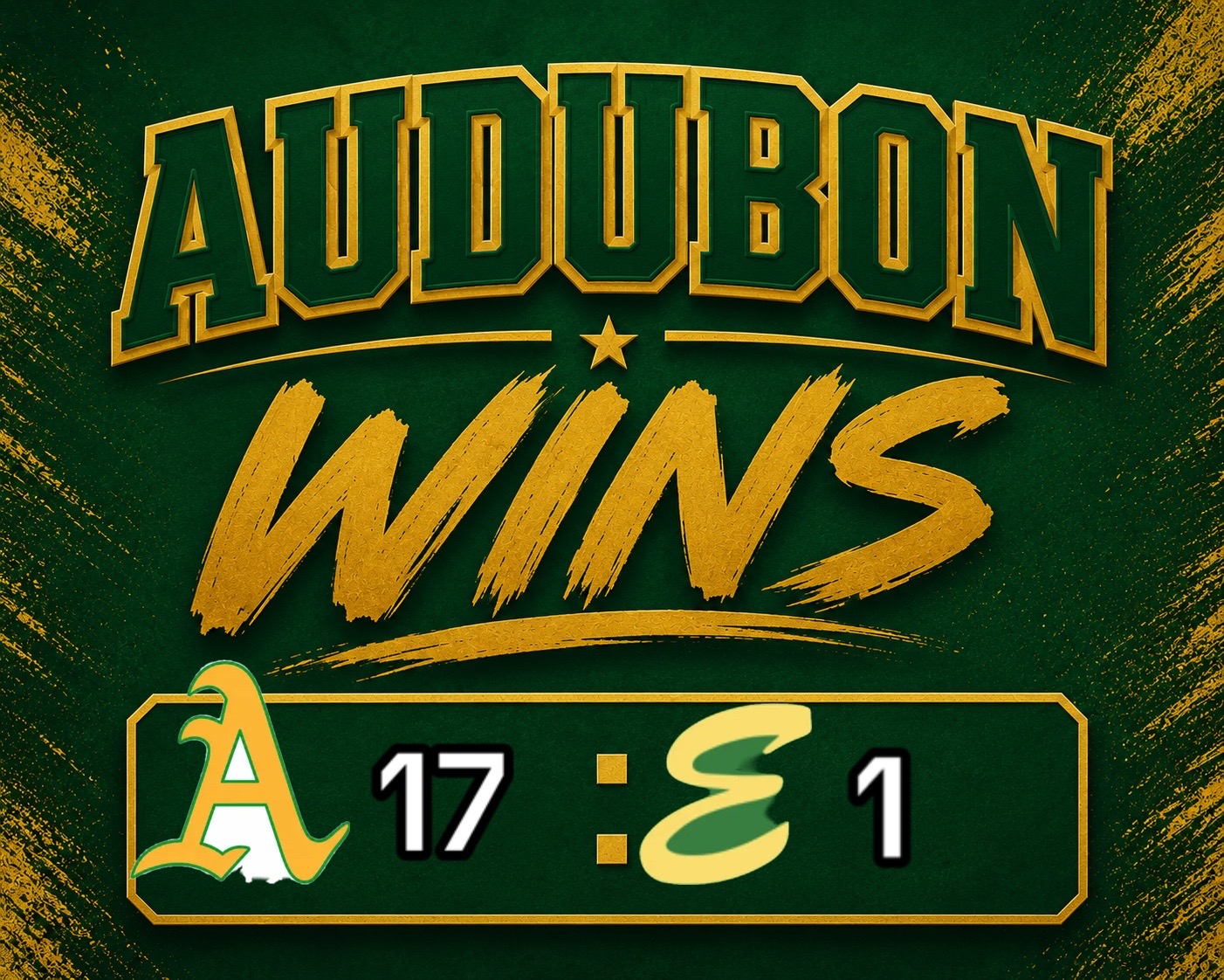 @AudubonMilitia13u