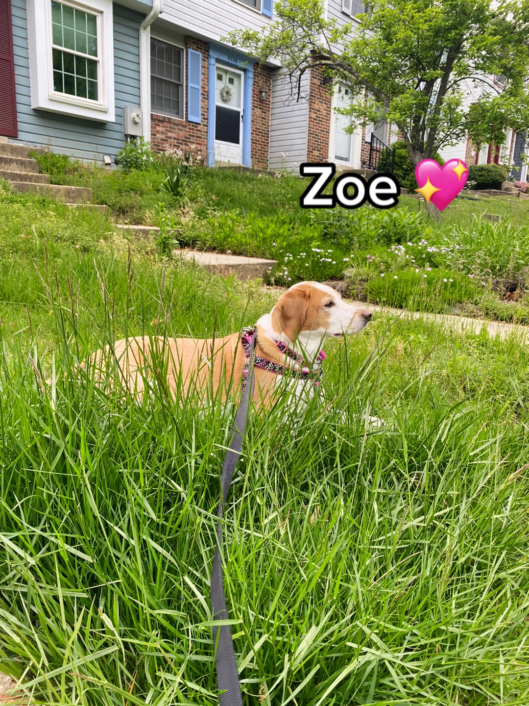 @ZeeKoh ✨
