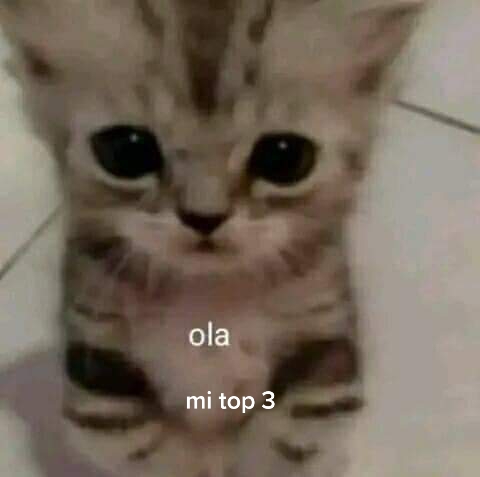 @౨ৎ ˖ ࣪ &bull;𝐵𝑎𝑟𝑏𝑖&bull;˖ ࣪ ౨ৎ