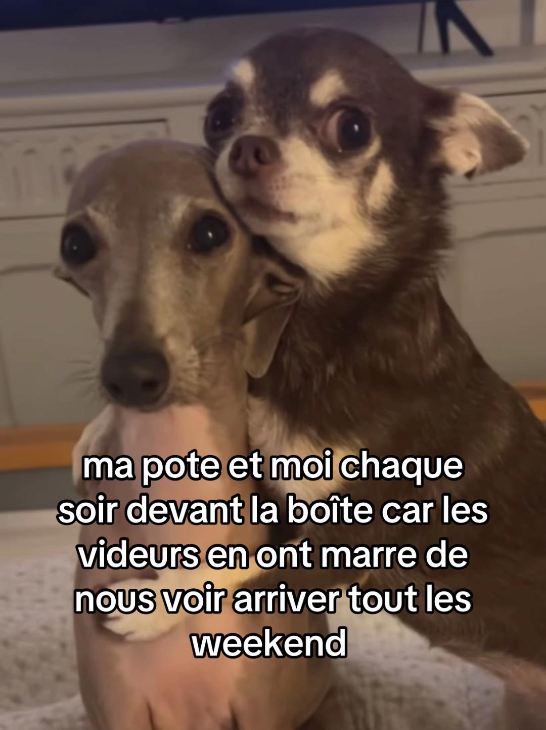 @…