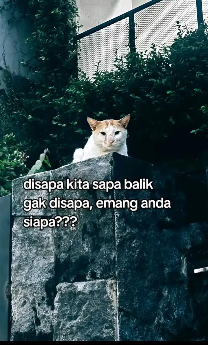 @𝐀𝐦𝐞𝐥"jk🙆🏻&zwj;♀️