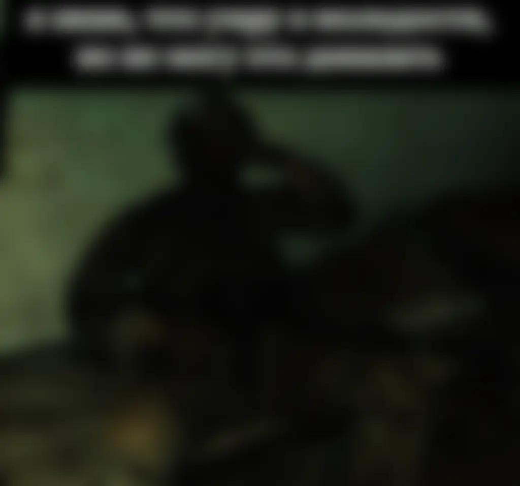 @𝙂𝙇𝘼𝘿𝙄𝘼𝙏𝙊𝙍ꑭ