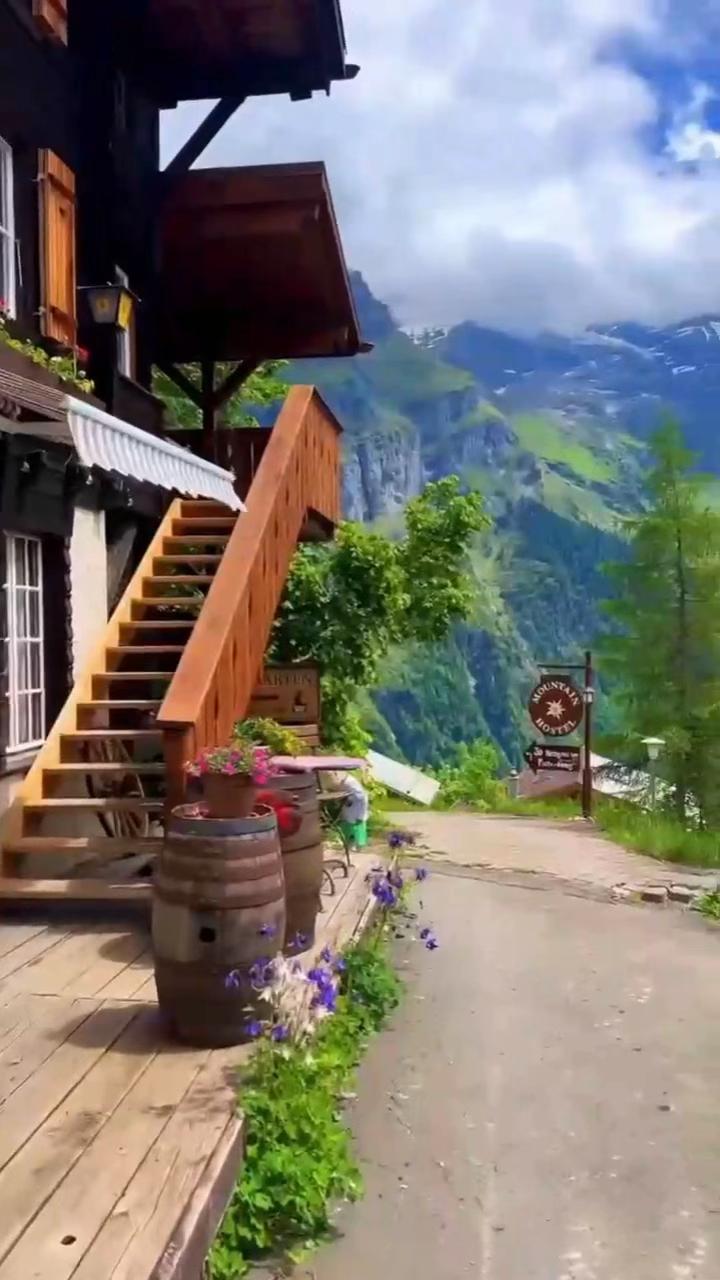 @Elwazir
