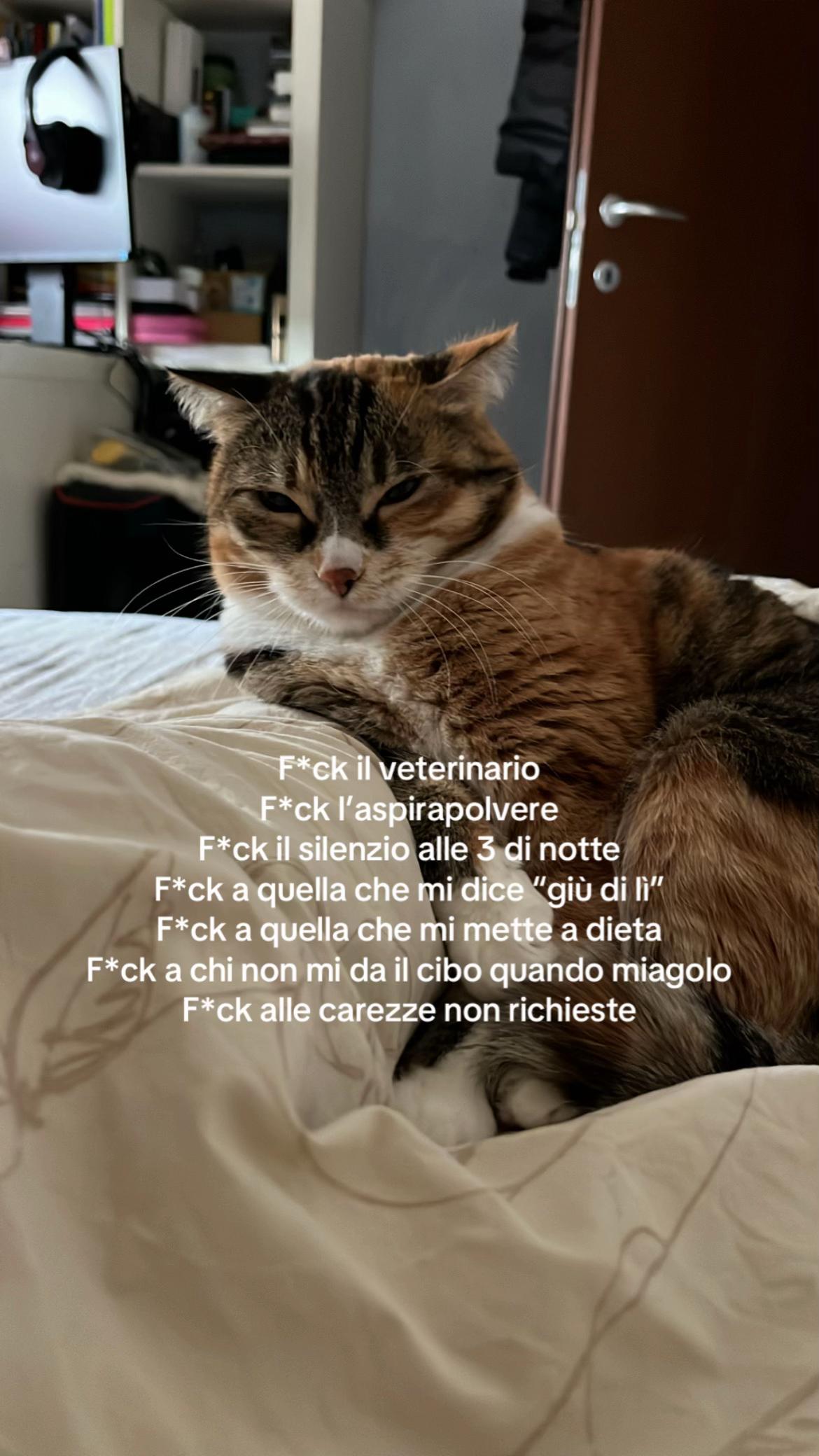 @Nina