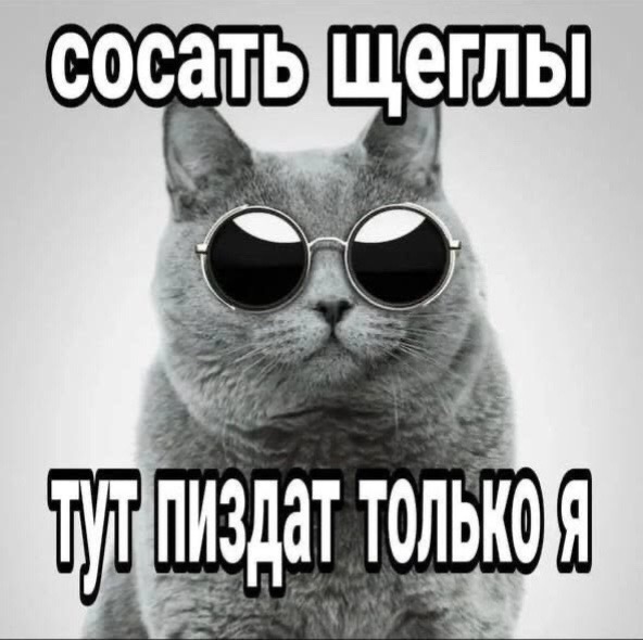 @n1vo🗡️