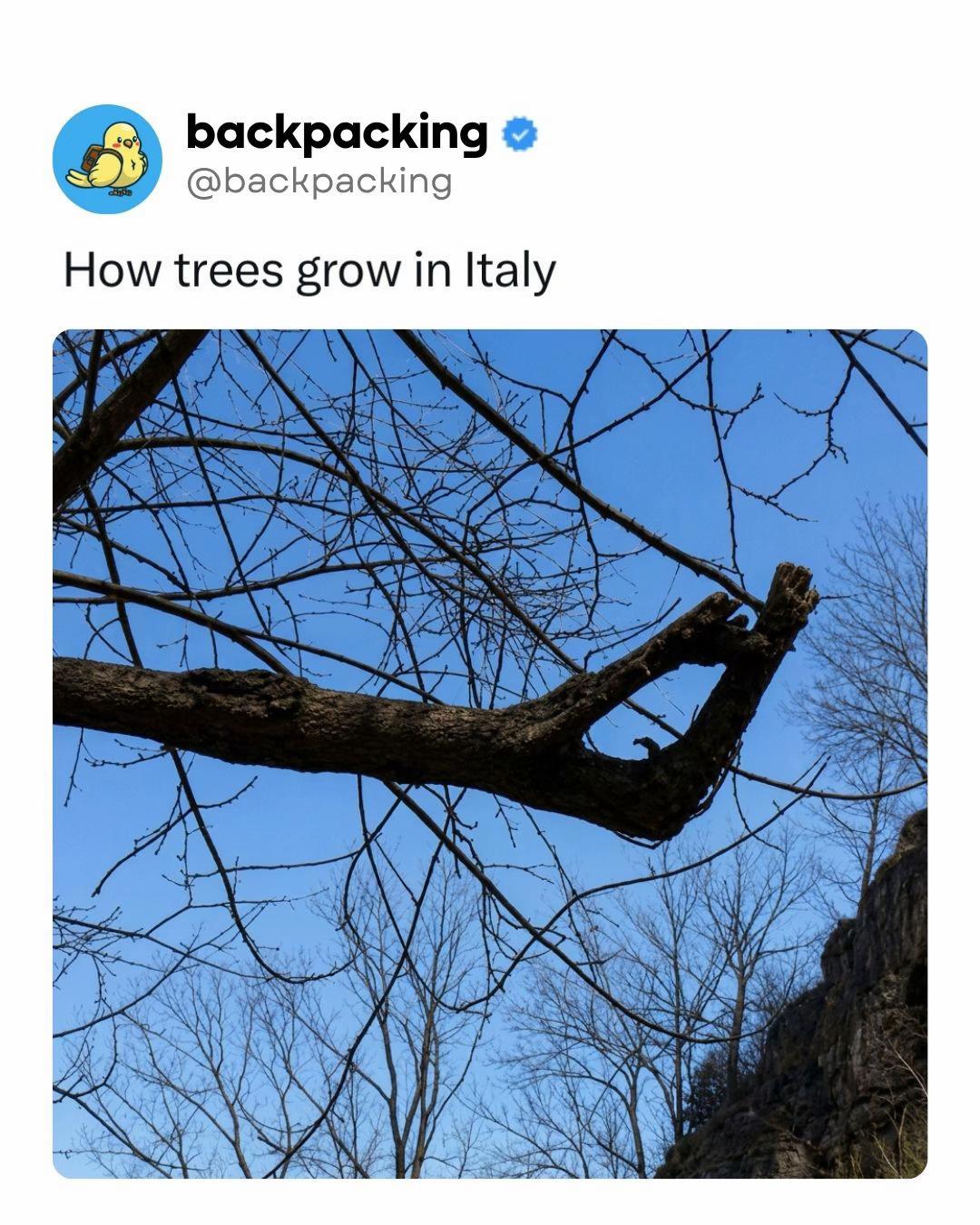 @Backpacking