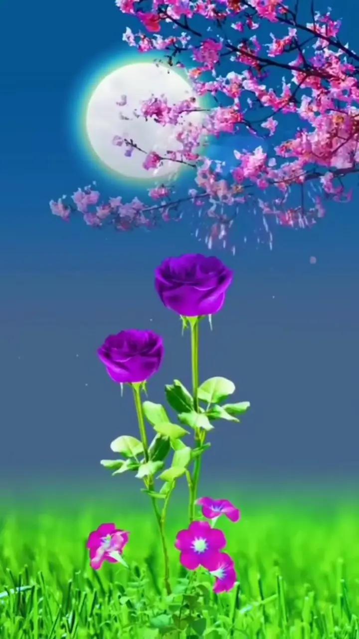 @Vivek singh